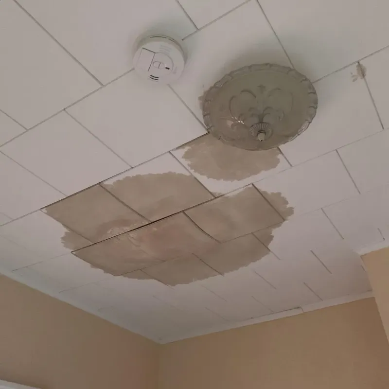 Ceiling Water Damage Repair in Premont, TX
