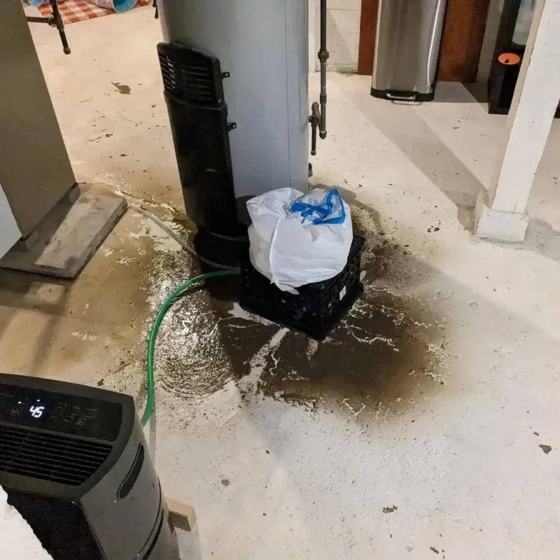 Sewage Backup Cleanup Service in Premont, TX